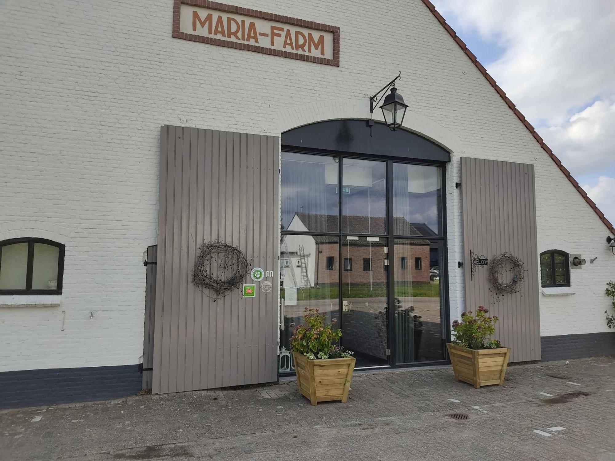 Mariafarm Bed & Breakfast Zevenbergen Luaran gambar